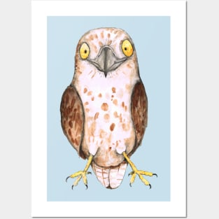 Cute hawk Posters and Art